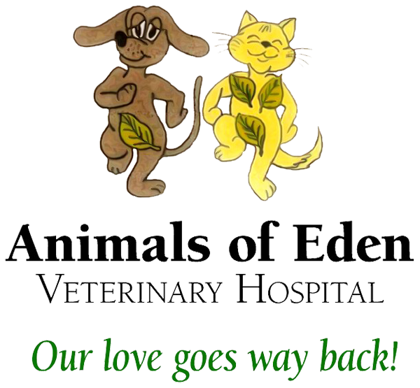Animals of Eden