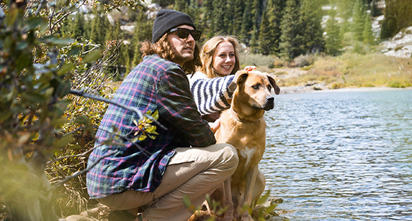 Emergency Vet Care in Brevard, NC